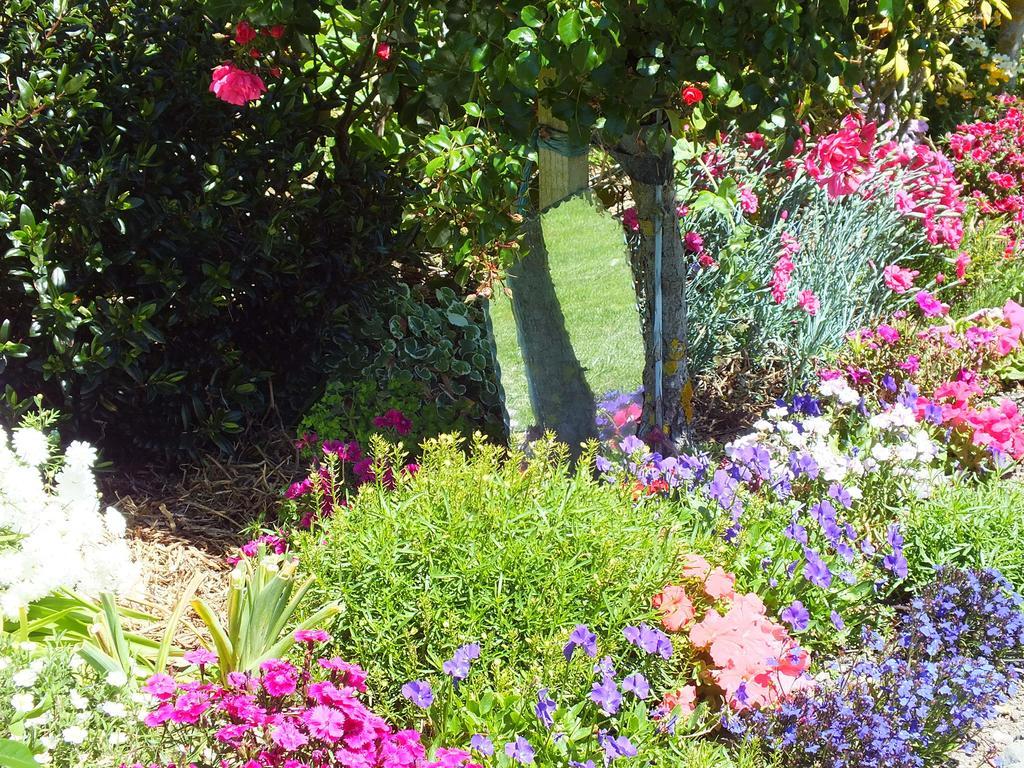 Austin Heights - Kaikoura Bed & Breakfast Ngoại thất bức ảnh